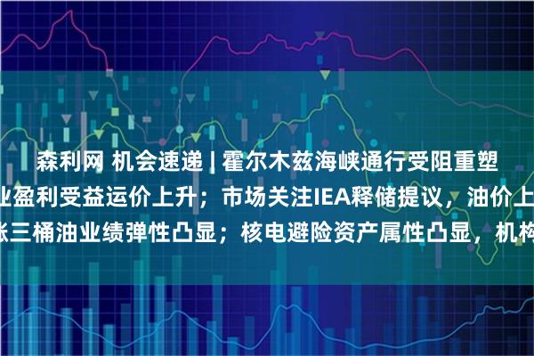森利网 机会速递 | 霍尔木兹海峡通行受阻重塑能源格局，油运龙头企业盈利受益运价上升；市场关注IEA释储提议，油价上涨三桶油业绩弹性凸显；核电避险资产属性凸显，机构称核电核准打开成长空间